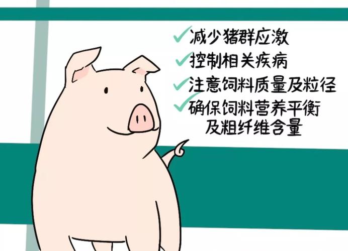 不可忽略的猪场常见病猪胃溃疡来看看怎么办